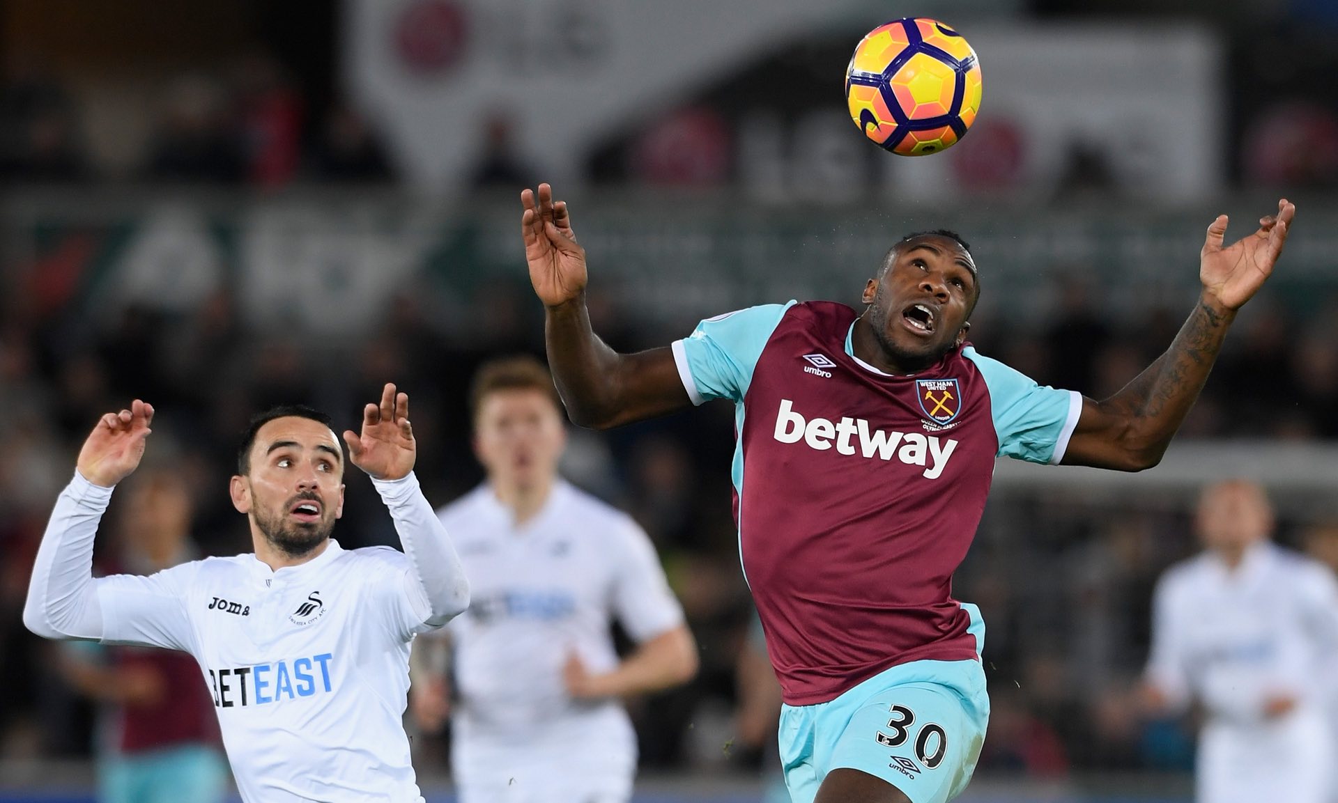 功能性的球 功能性的球